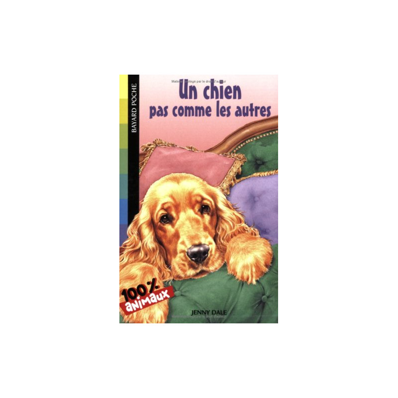 Un chien pas comme les autres
