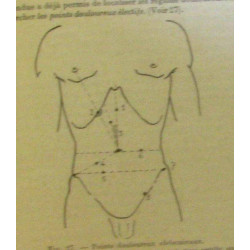 Guide du stagiaire en médecine