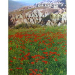 Cappadoce