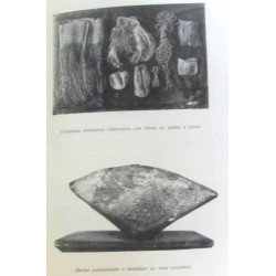 El museo canario breve resena historica y descriptiva