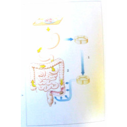 Guide pratique de la constipation