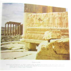 Les ruines de Palmyre