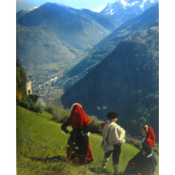 Les albums des Guides bleus : Pyrénées