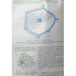 Anatomie et physiologie humaines suivies de l'etude des principaux...
