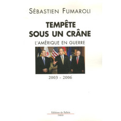 Tempête sous un crâne : L'Amérique en guerre (2003-2006)