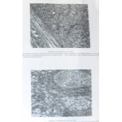 Traité d'endocrinologie