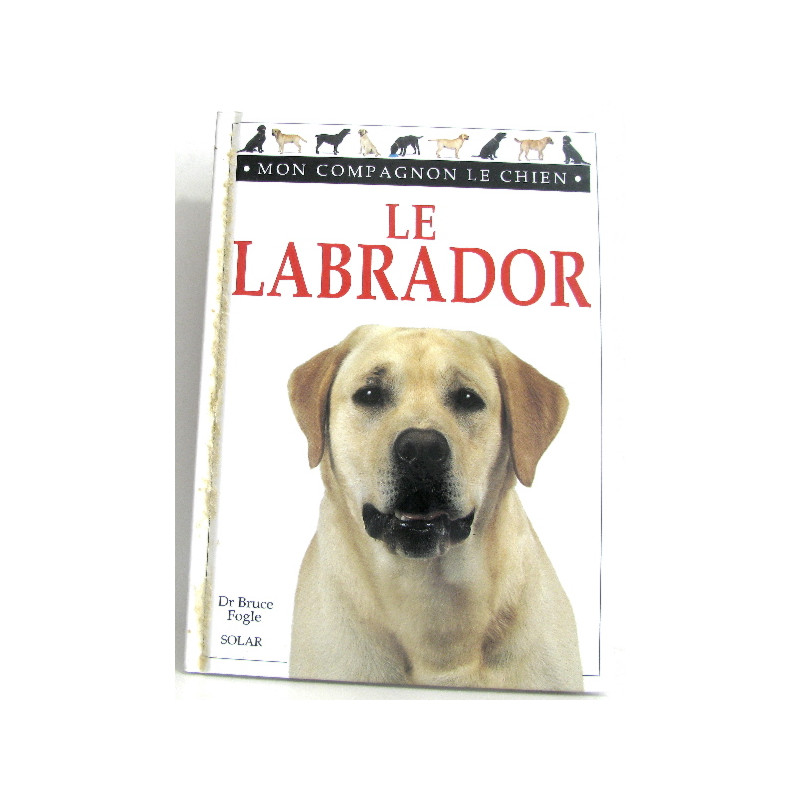Labrador