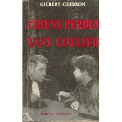 Chiens perdus sans collier