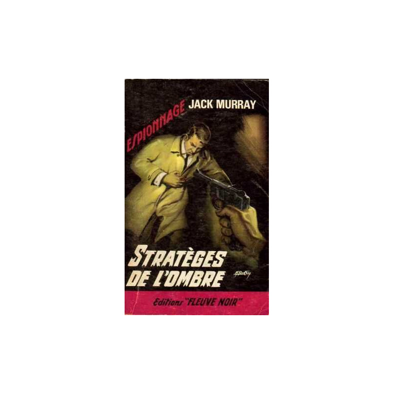stratèges de l'ombre