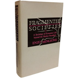 Fragmented Societies: A Sociology of Economic Life Beyond the...