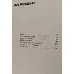 Les guérilleros : un tombeau pour Che Guevara