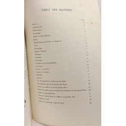 Les différentes cultures du chrysanthème - 3e édition