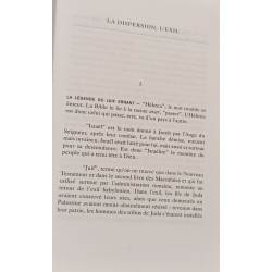 L'errance juive Tome 1: La dispersion l'exil la survie