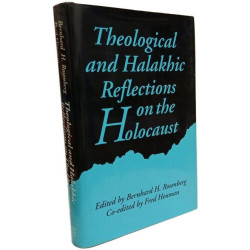 Theological and Halakhic Reflections on the Holocaust