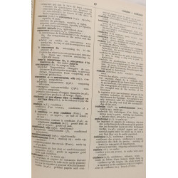 French-English and English-French Dictionary of Commercial et...