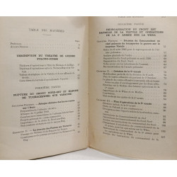 La campagne polono-russe de 1920