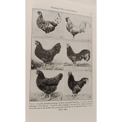 Poultry Breeding