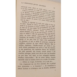 La Provence qu'on assassine