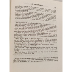 Chez les Indiens Guaraos