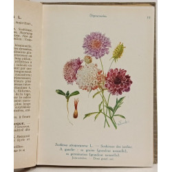 Les Fleurs de Jardins