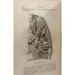 Nouveau traité élémentaire d'anatomie descriptive et de...