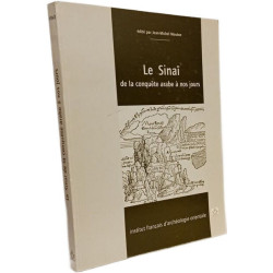 Le Sinaï - de la conquête arabe à nos jours