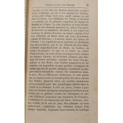 Voyage au pays des tziganes (La Hongrie inconnue)
