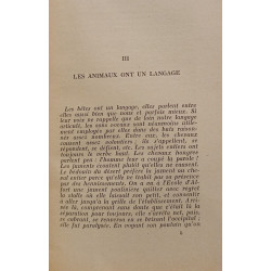 Chiens chats et autres bêtes