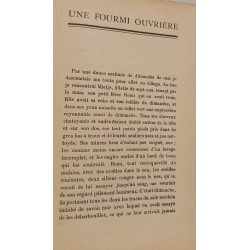Une fourmi ouvrière