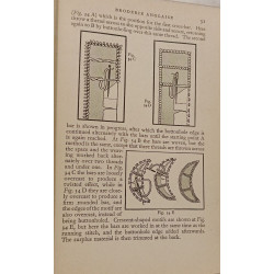 Mary Thomas's Embroidery Book