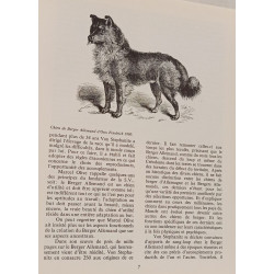 Le berger allemand