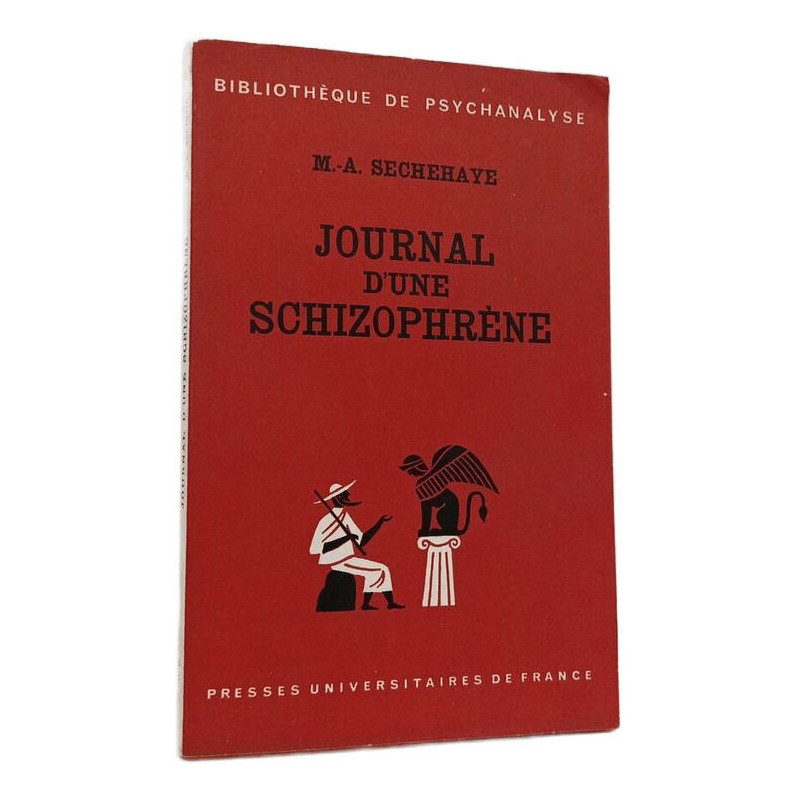 Journal d'une schizophrène
