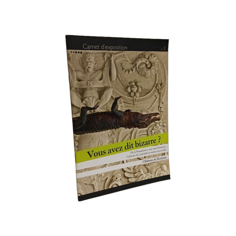 Vous avez dit bizarre ? - de la Renaissance aux arts premiers...