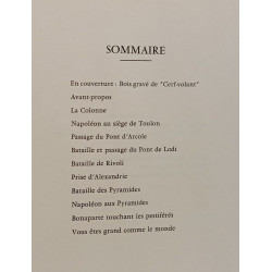Napoléon. Images de l'épopée - LIVRE 1