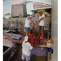 Homme libre toujours... la pêche à l'île de la Réunion depuis le...