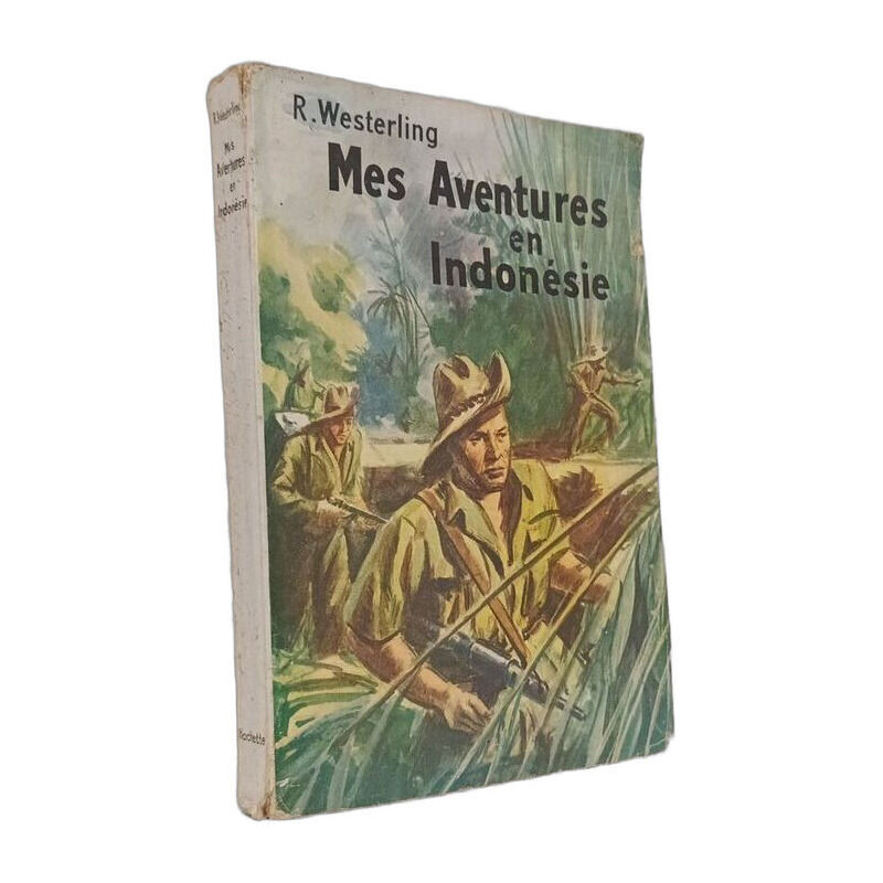 Mes Aventures en Indonésie