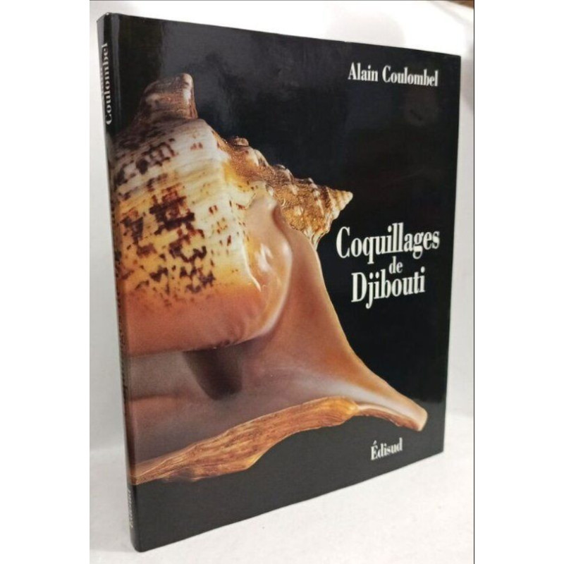 Coquillages De Djibouti