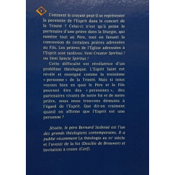 L'Esprit sans visage et sans voix: Brève histoire de la théologie...