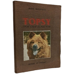 Topsy Chow-chow au poil d'or