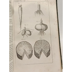 Précis élémentaire d'histoire naturelle - 6e éd