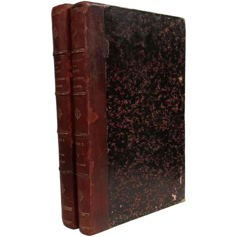 Traité d'anatomie humaine: Angéiologie + Organes des sens --- 2...