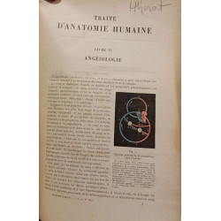 Traité d'anatomie humaine: Angéiologie + Organes des sens --- 2...