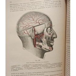 Traité d'anatomie humaine: Angéiologie + Organes des sens --- 2...