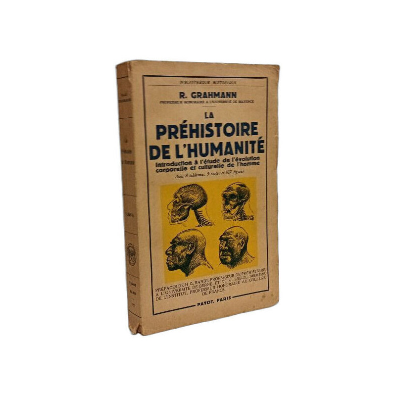 La préhistoire de l'humanité