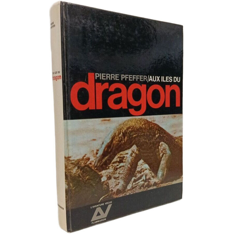 Aux îles du dragon