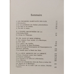 Arawak. Histoire des Antilles et de la Guyane