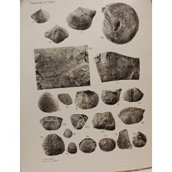Études géologiques sur le Maroc central et le Moyen Atlas...