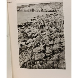 Schistes cristallins et granites en Bretagne méridionale. Le...