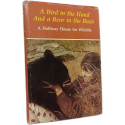 A Bird in the Hand And a Bear in the Bush