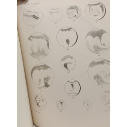 Aréographie ou étude comparative des observations faites sur...